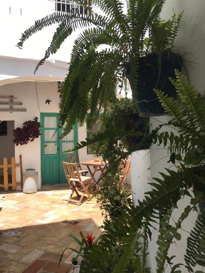 Ferienwohnung Casa Aguamarina Vejer de la Frontera Exterior foto